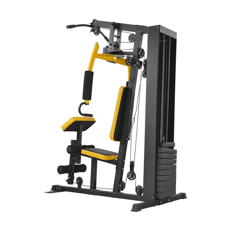 # Stazione Multifunzione per P - Home Gym Lat Pulldown Machine recensione e prezzo